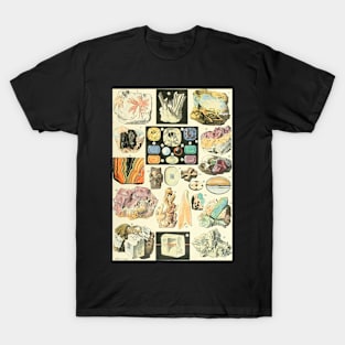 Colorful Minerals Crystals Gemstones Vintage Illustration T-Shirt